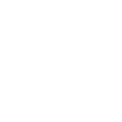 Our Vision